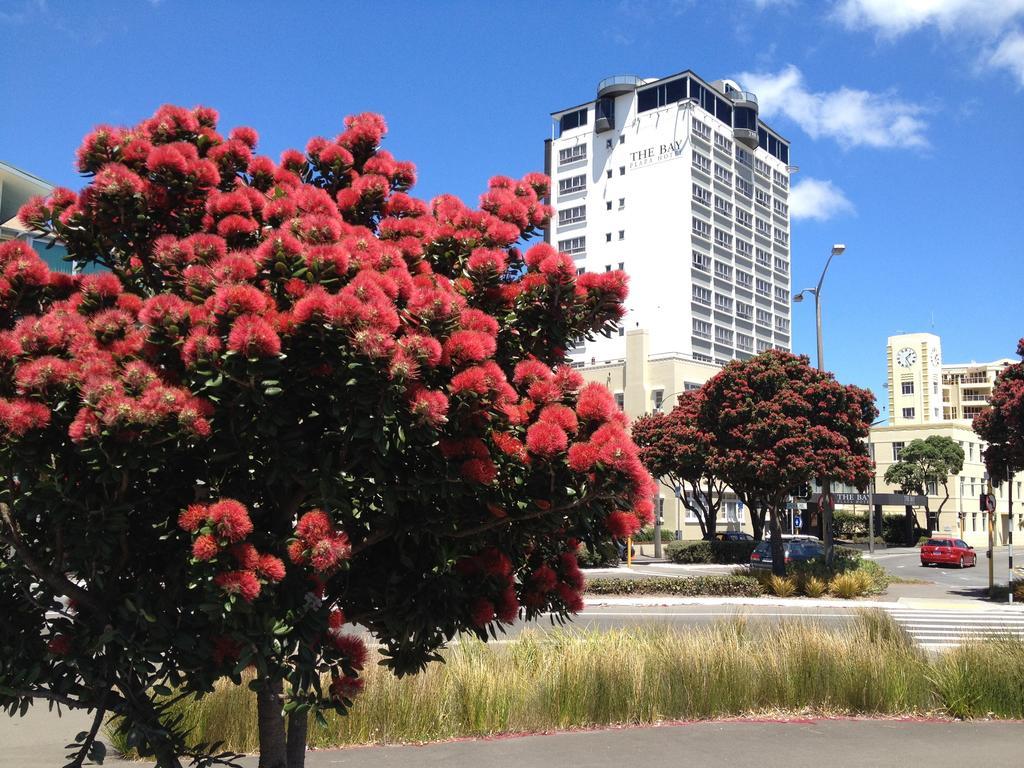 Bay Plaza Hotel Wellington Buitenkant foto