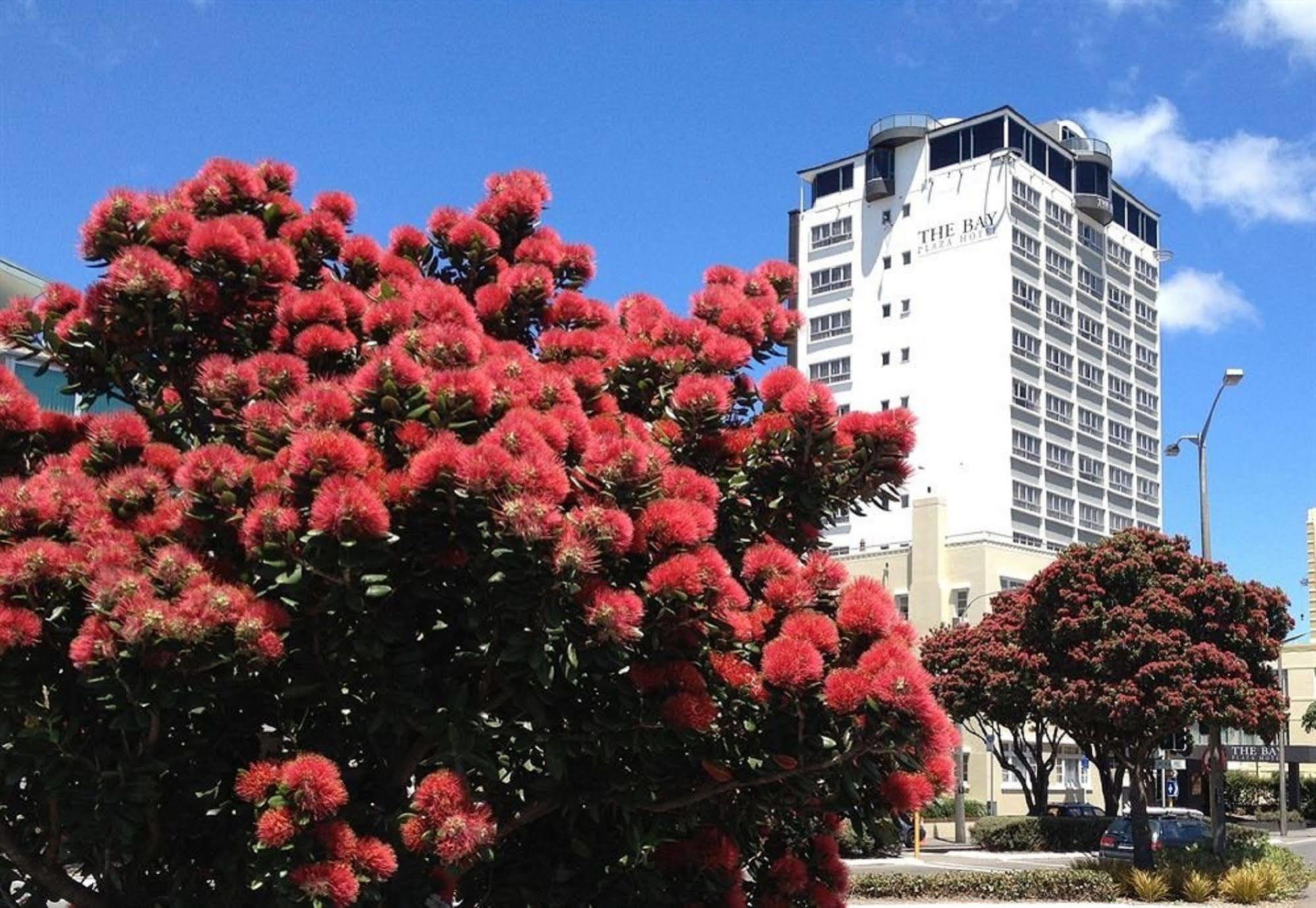 Bay Plaza Hotel Wellington Buitenkant foto